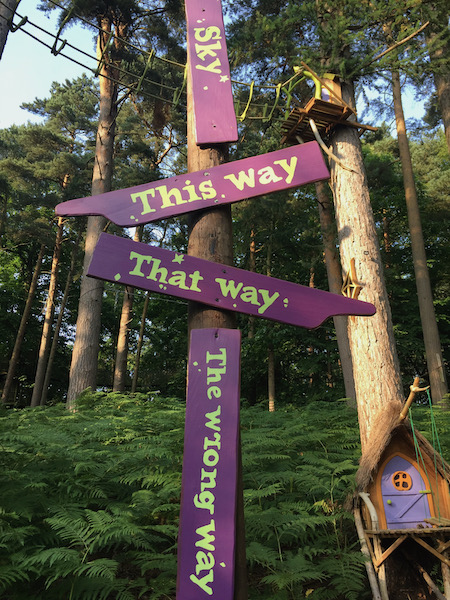 Bewilderwood which direction